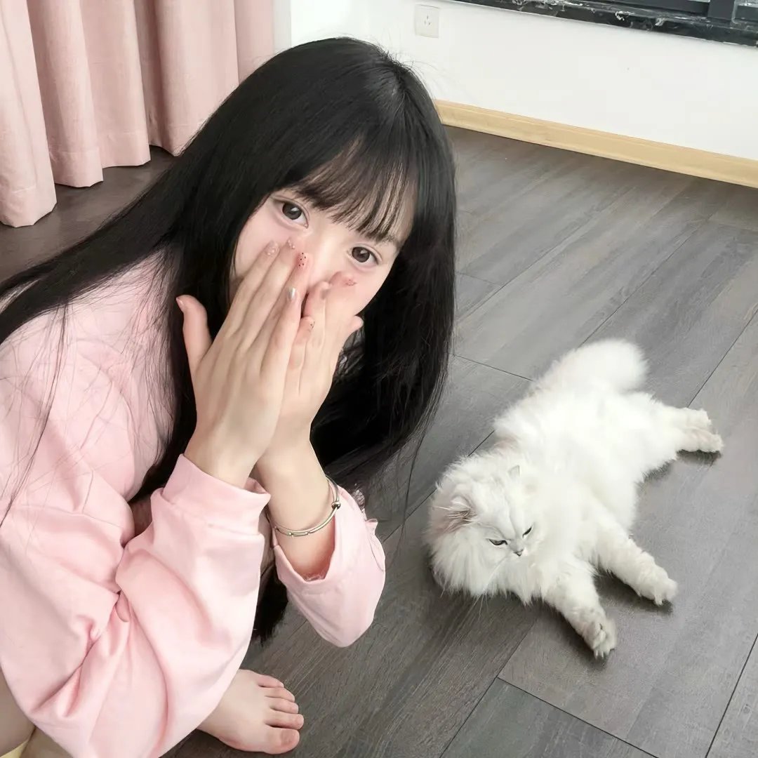 神犬松五郎